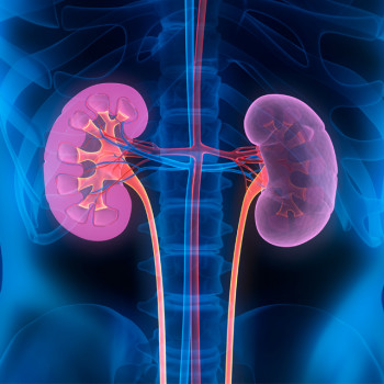 KIDNEY PROFILE KIDNEY PROFILE